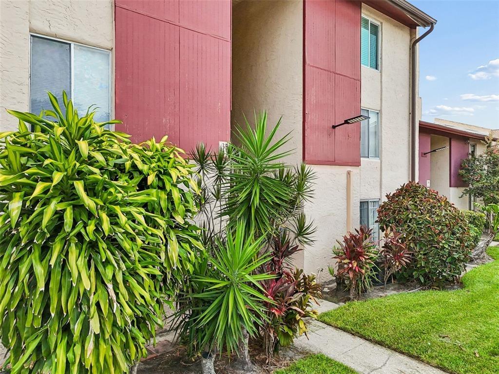 S Lake Dr, Tampa, FL 33614