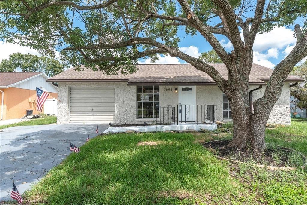 Arlight Dr, New Port Richey, FL 34655