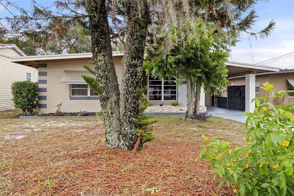 Oakland Cir, Tavares, FL 32778