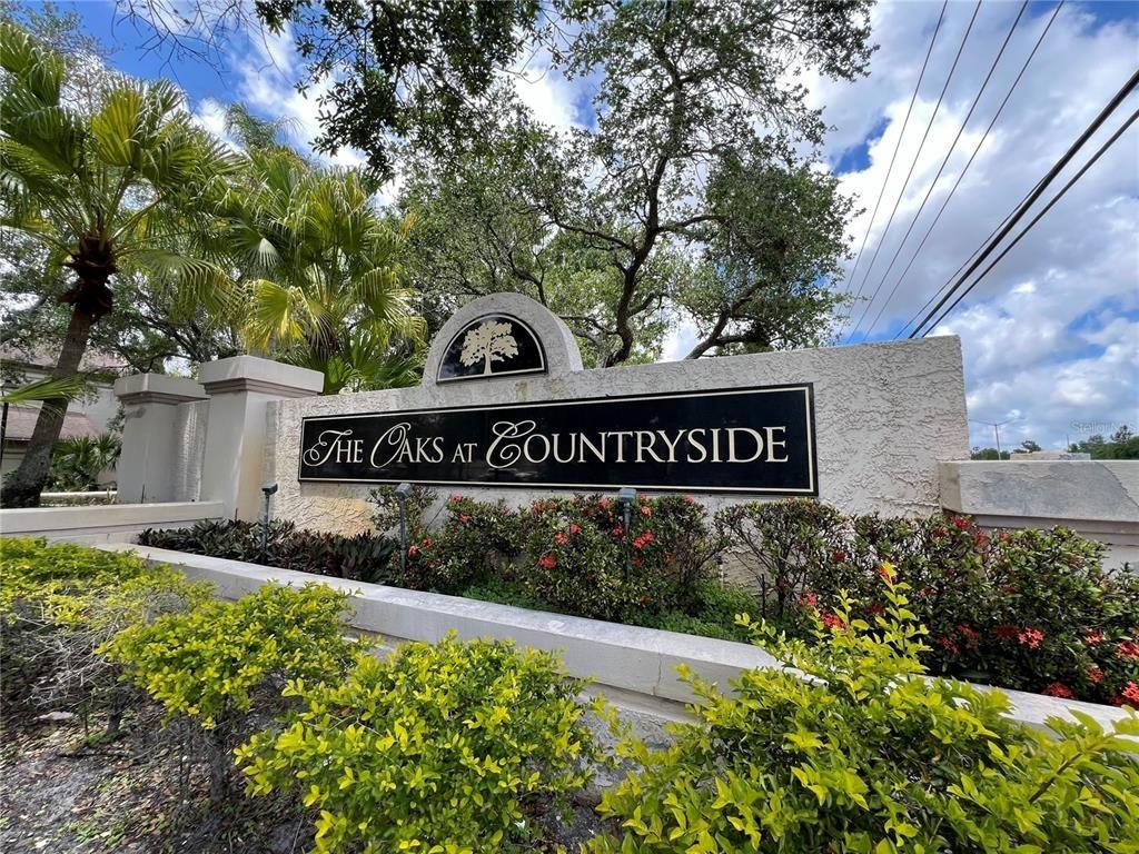 Red Oak Ct, Palm Harbor, FL 34684