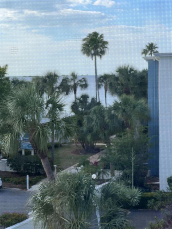 Michael Pl, Dunedin, FL 34698