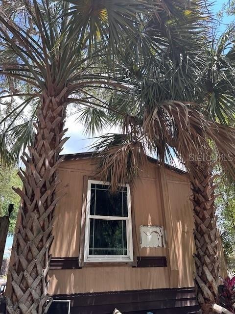 Celeste Ln, New Port Richey, FL 34653
