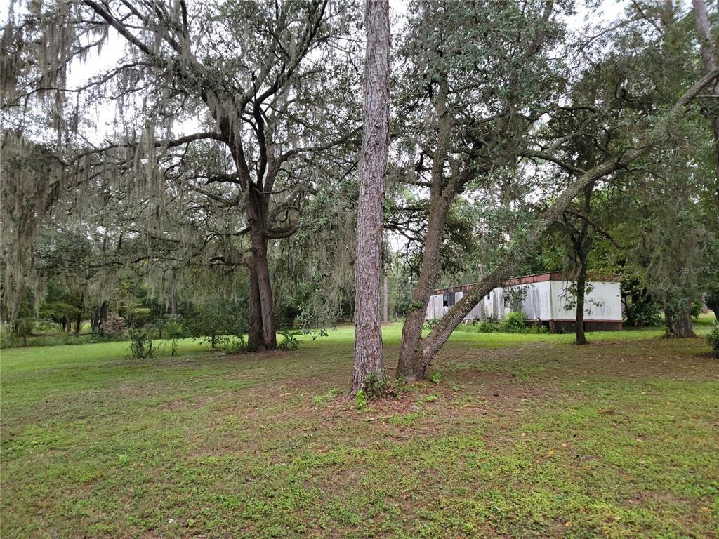 Ne 64th Pl, Williston, FL 32696