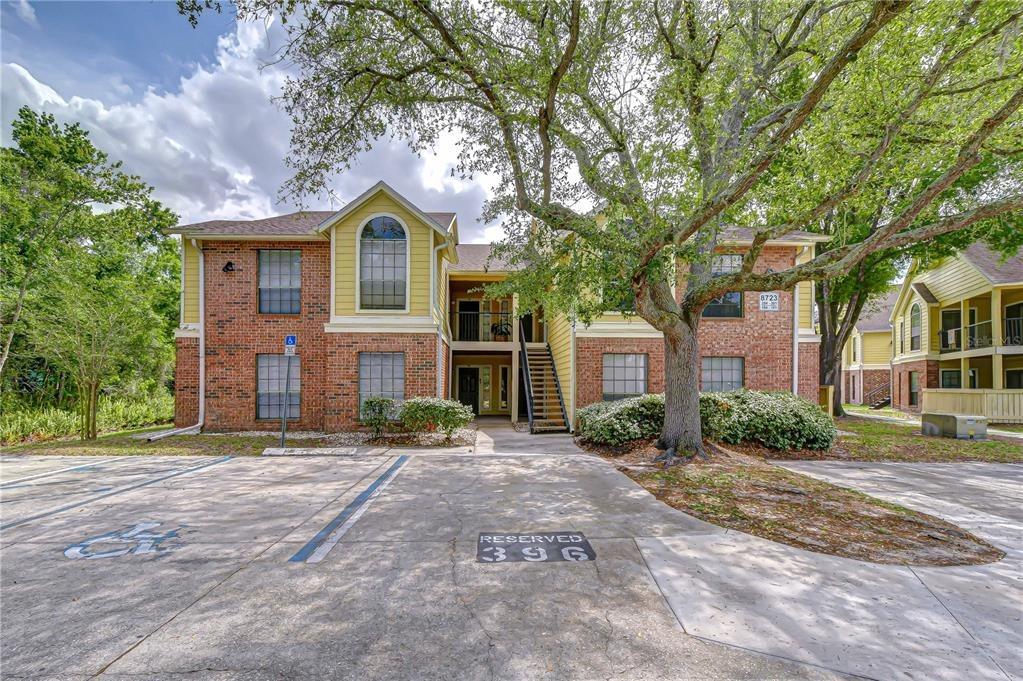 Fancy Finch Dr, Tampa, FL 33614