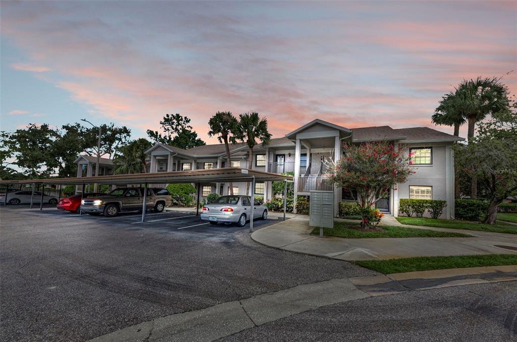 Elm St, Dunedin, FL 34698
