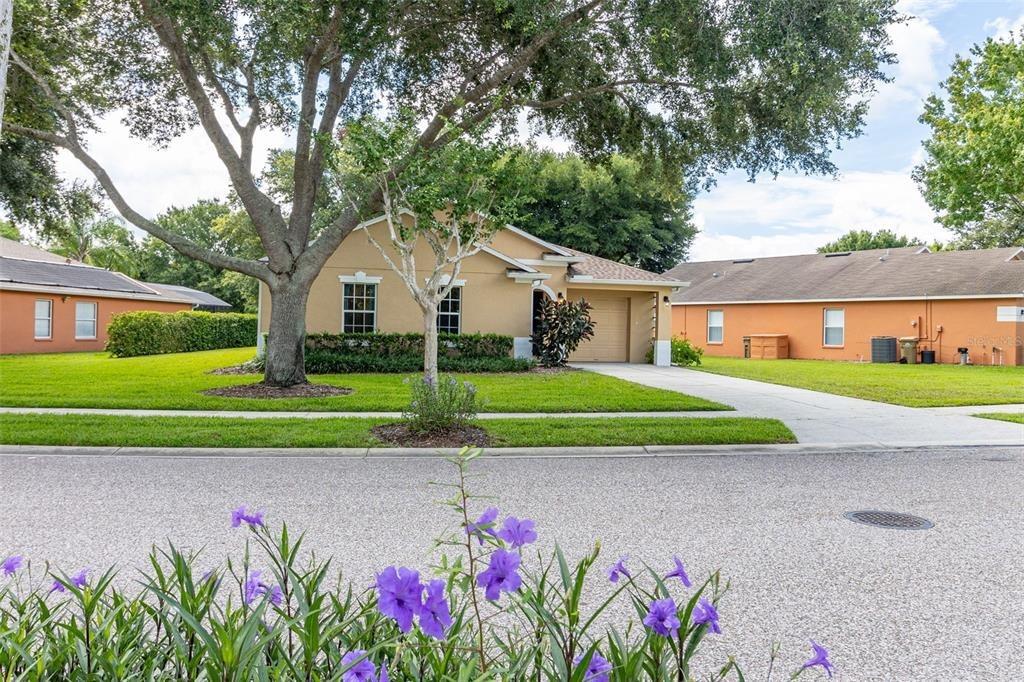 Woodcrest Way, Clermont, FL 34714