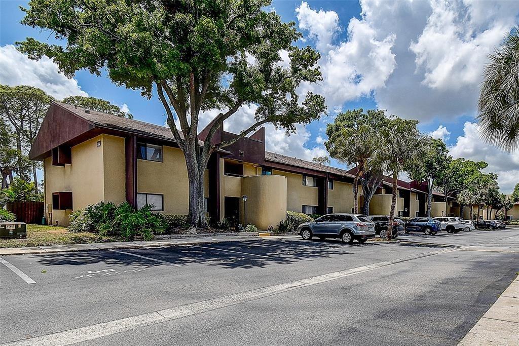 S Village Dr N, Saint Petersburg, FL 33716
