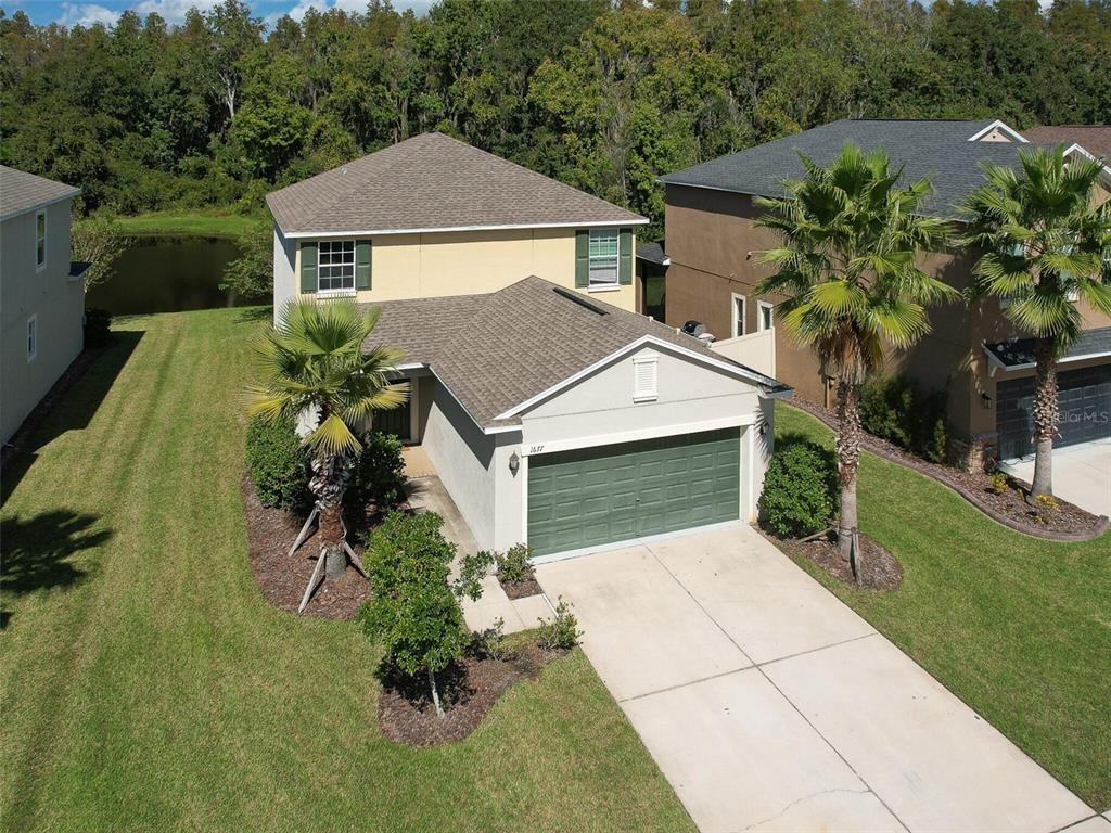 Ludington Ave, Wesley Chapel, FL 33543