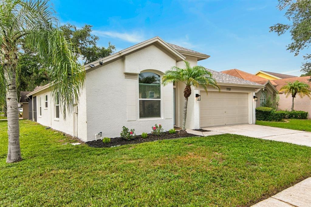 Marbella Creek Ave, Tampa, FL 33615