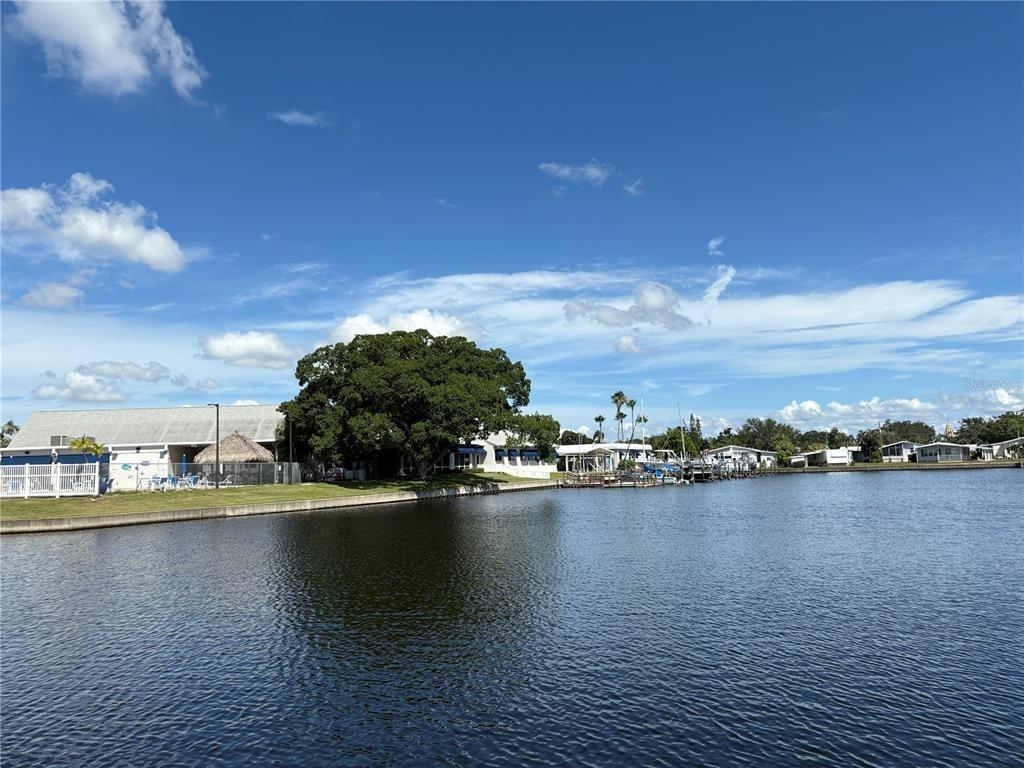 Americana Ct Ne, Saint Petersburg, FL 33702