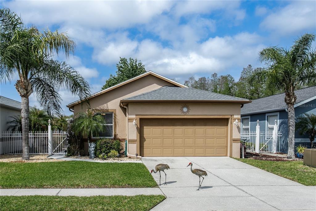 Tarocco Ct, Land O Lakes, FL 34637