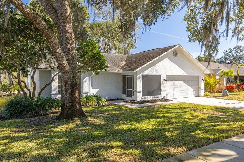 Oak Lake Dr, Palm Harbor, FL 34684