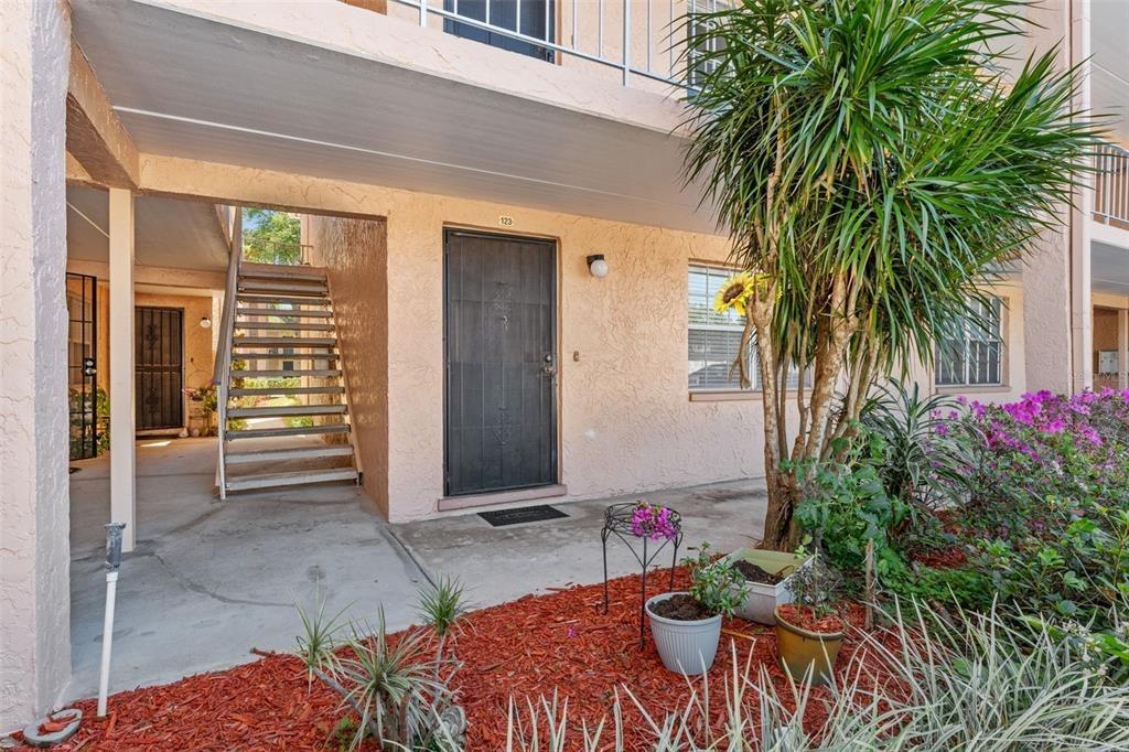 Michael Ct, Tampa, FL 33614