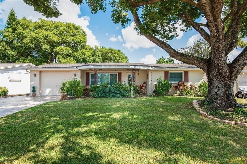 Mynabird Dr, New Port Richey, FL 34652