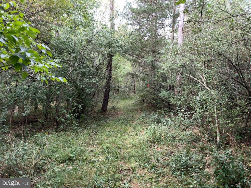 Old Winchester Rd, Boyce, VA 22620