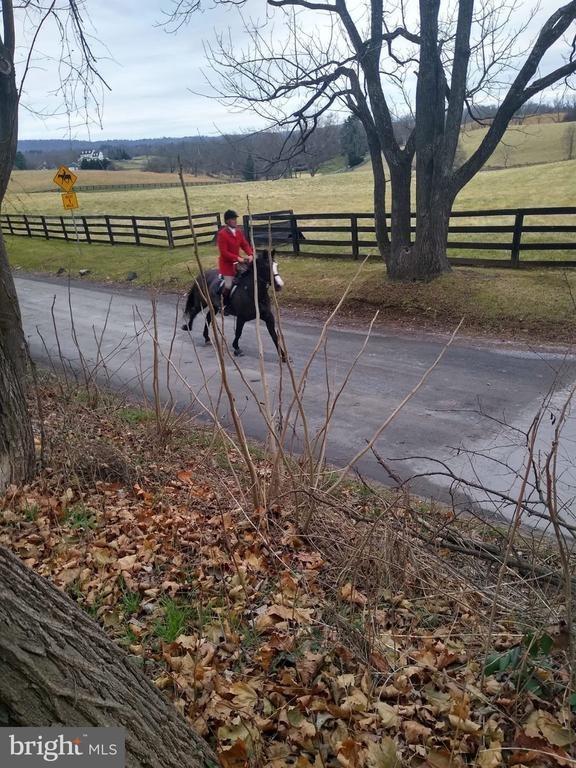 Lincoln Rd, Purcellville, VA 20132
