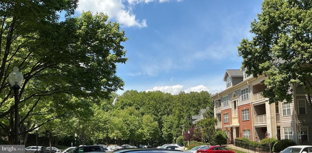 Timberbrook Ln, Gaithersburg, MD 20878