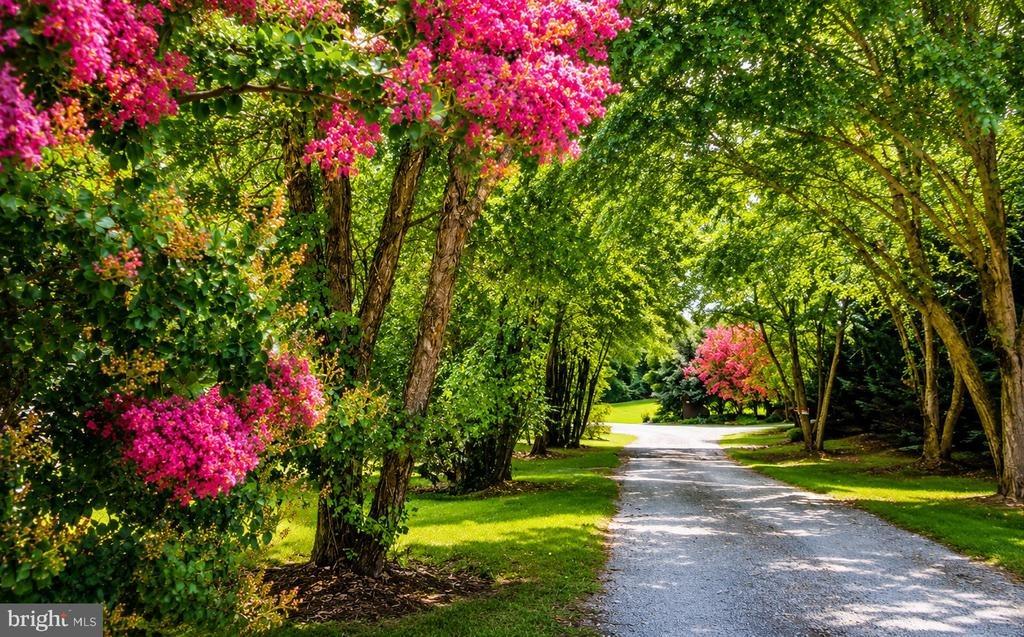 Spaniard Neck Rd, Centreville, MD 21617
