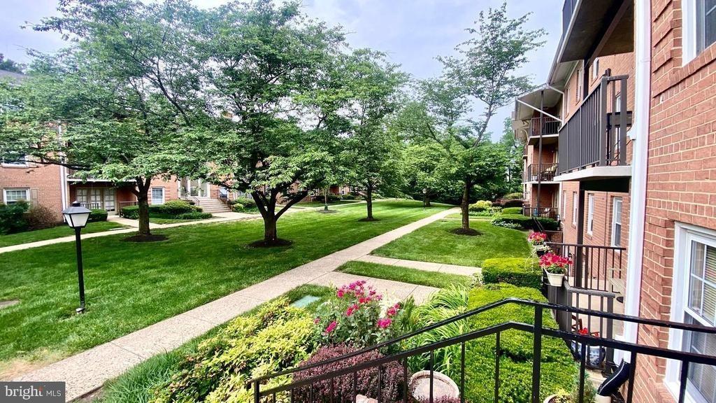 Spring Ln, Falls Church, VA 22041