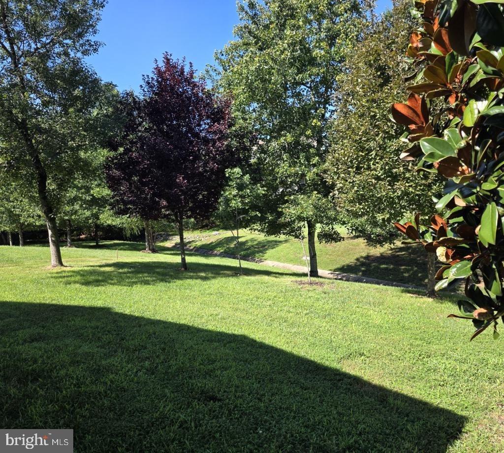 Lucketts Dr, Fredericksburg, VA 22406