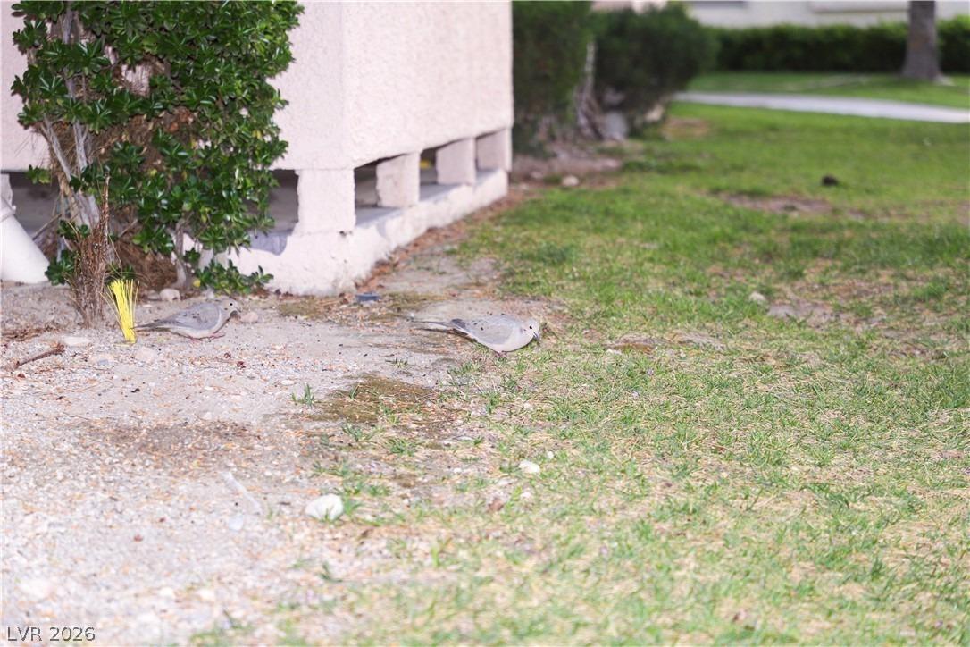 S Torrey Pines Dr, Las Vegas, NV 89103