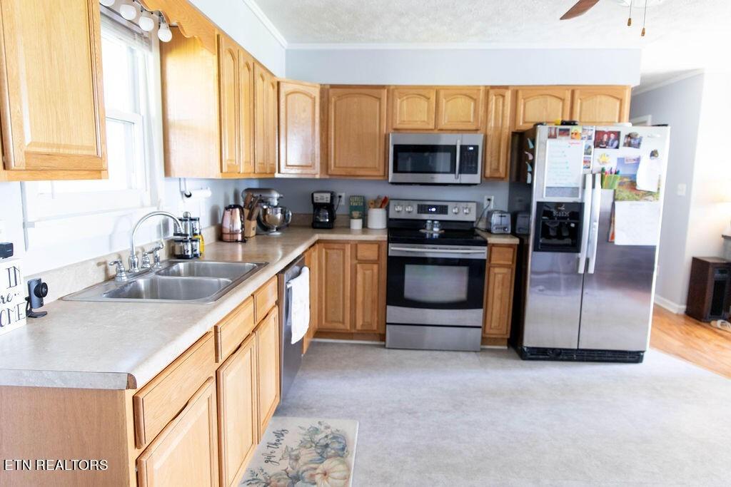 Plateau Firetower Rd, Crossville, TN 38571