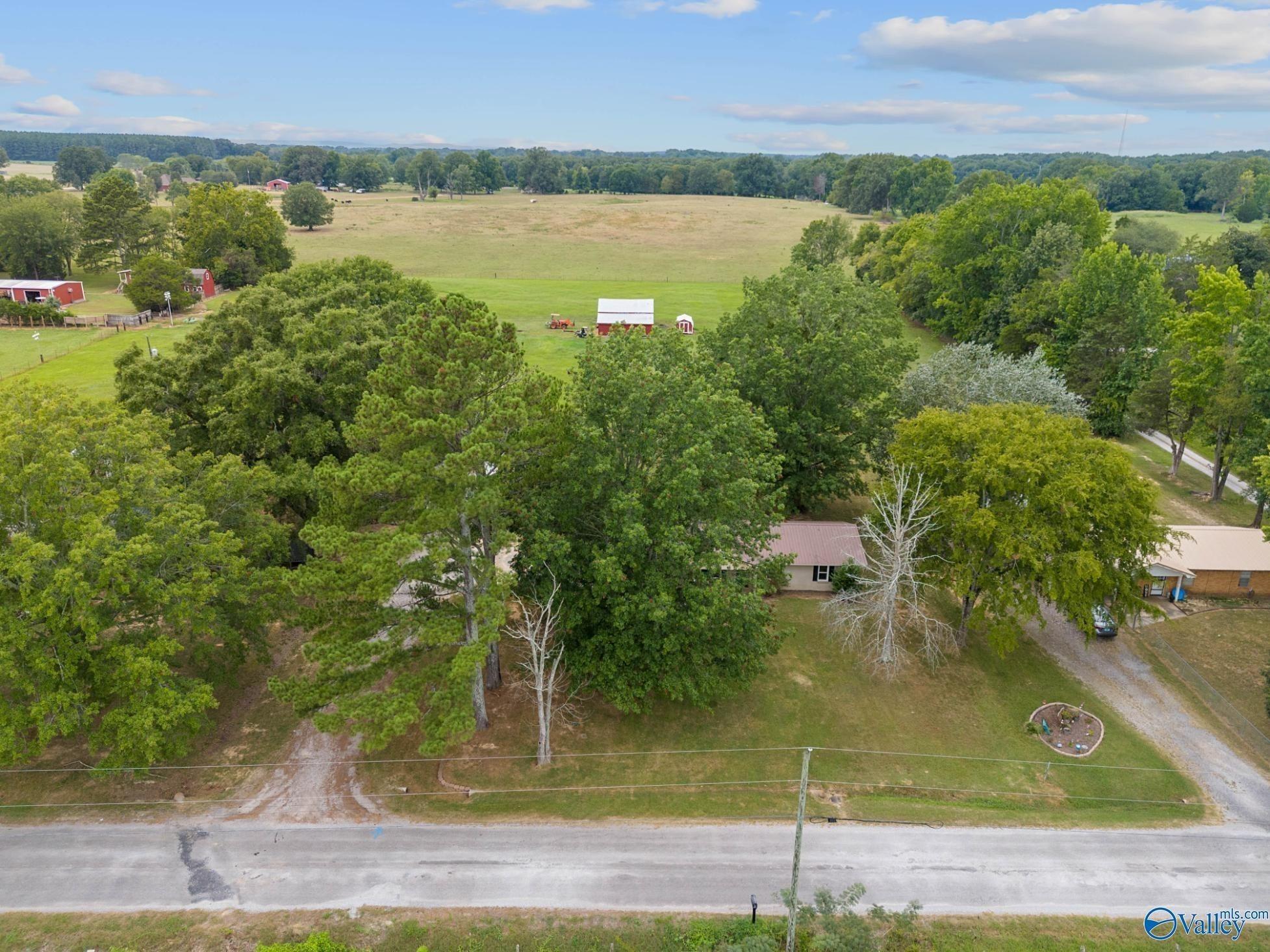 County Road 164, Moulton, AL 35650