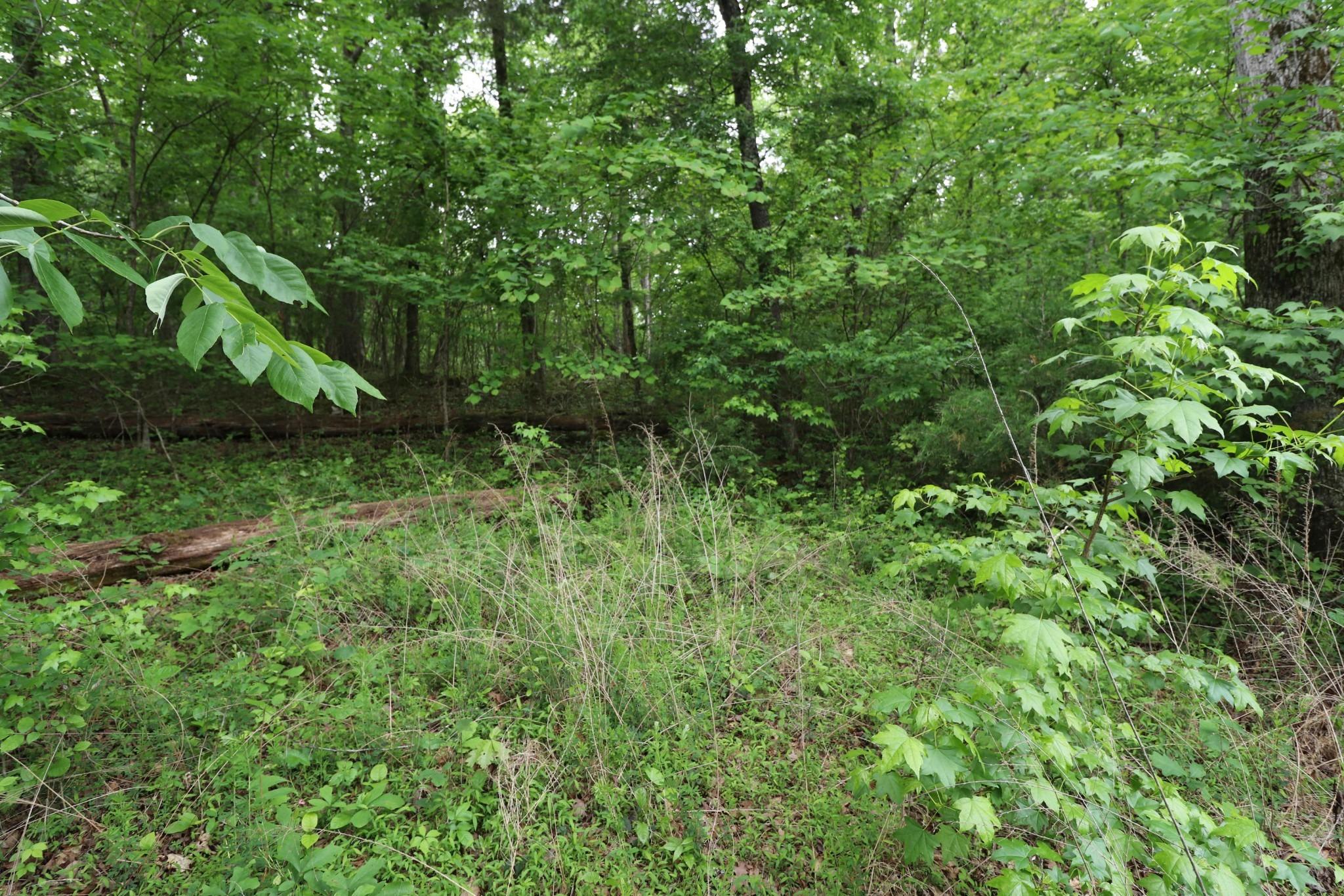 E Shore Dr, Rockwood, TN 37854