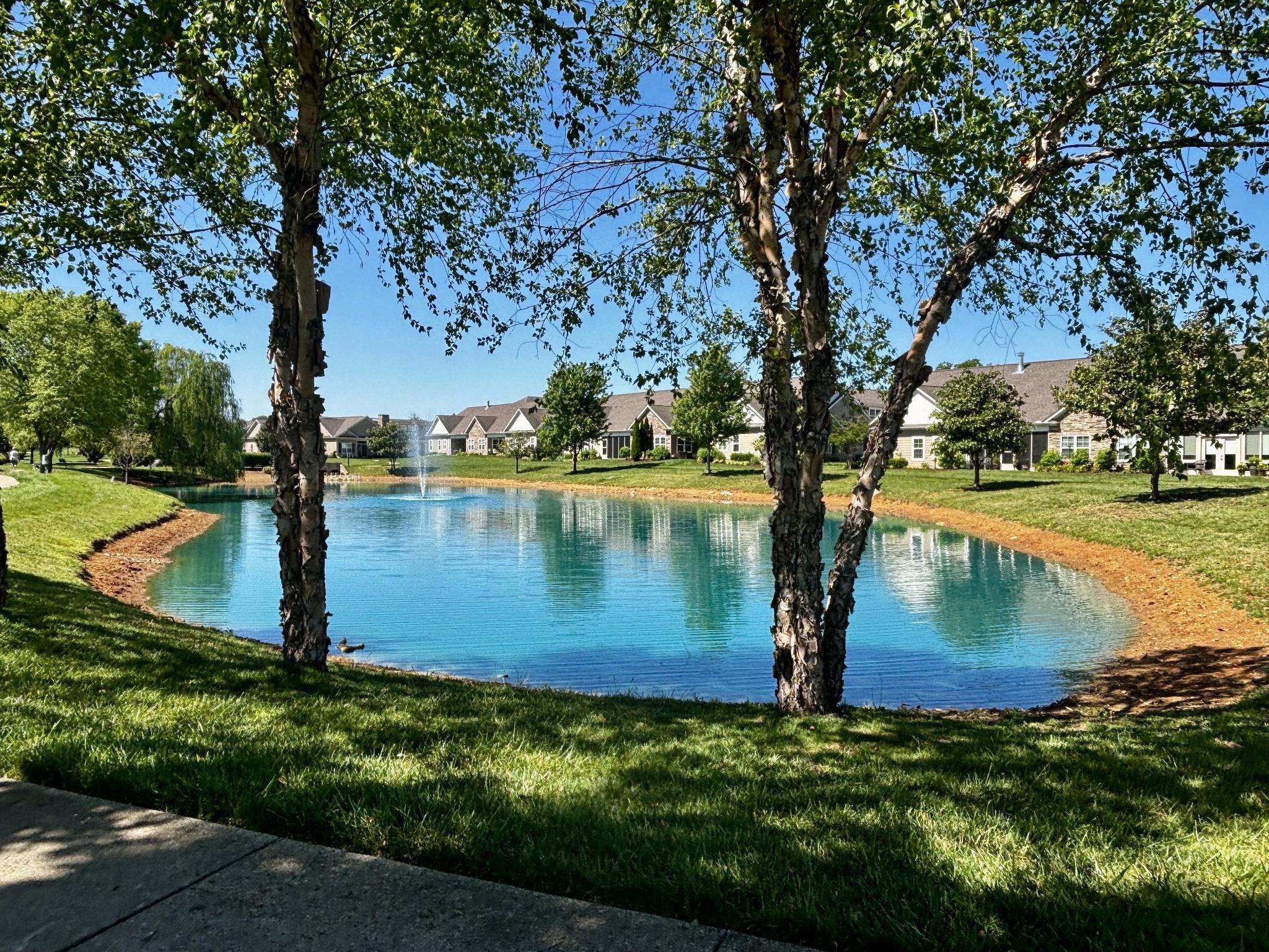 Stonecenter Ln, Murfreesboro, TN 37128