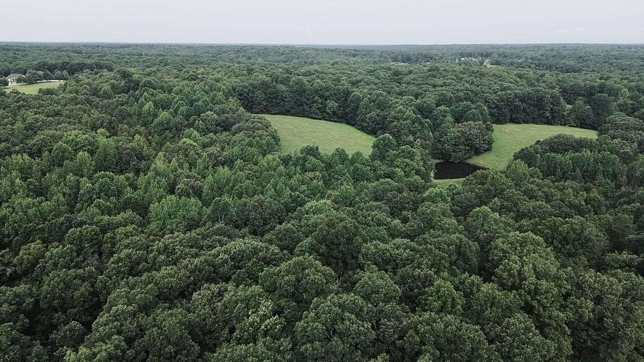 Louise Rd, Cumberland Furnace, TN 37051