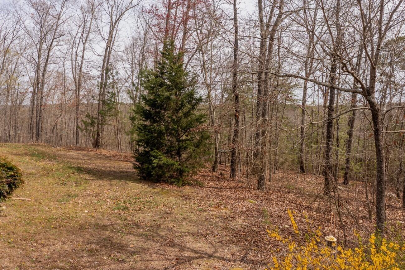 E Teems Rd, Ringgold, GA 30736