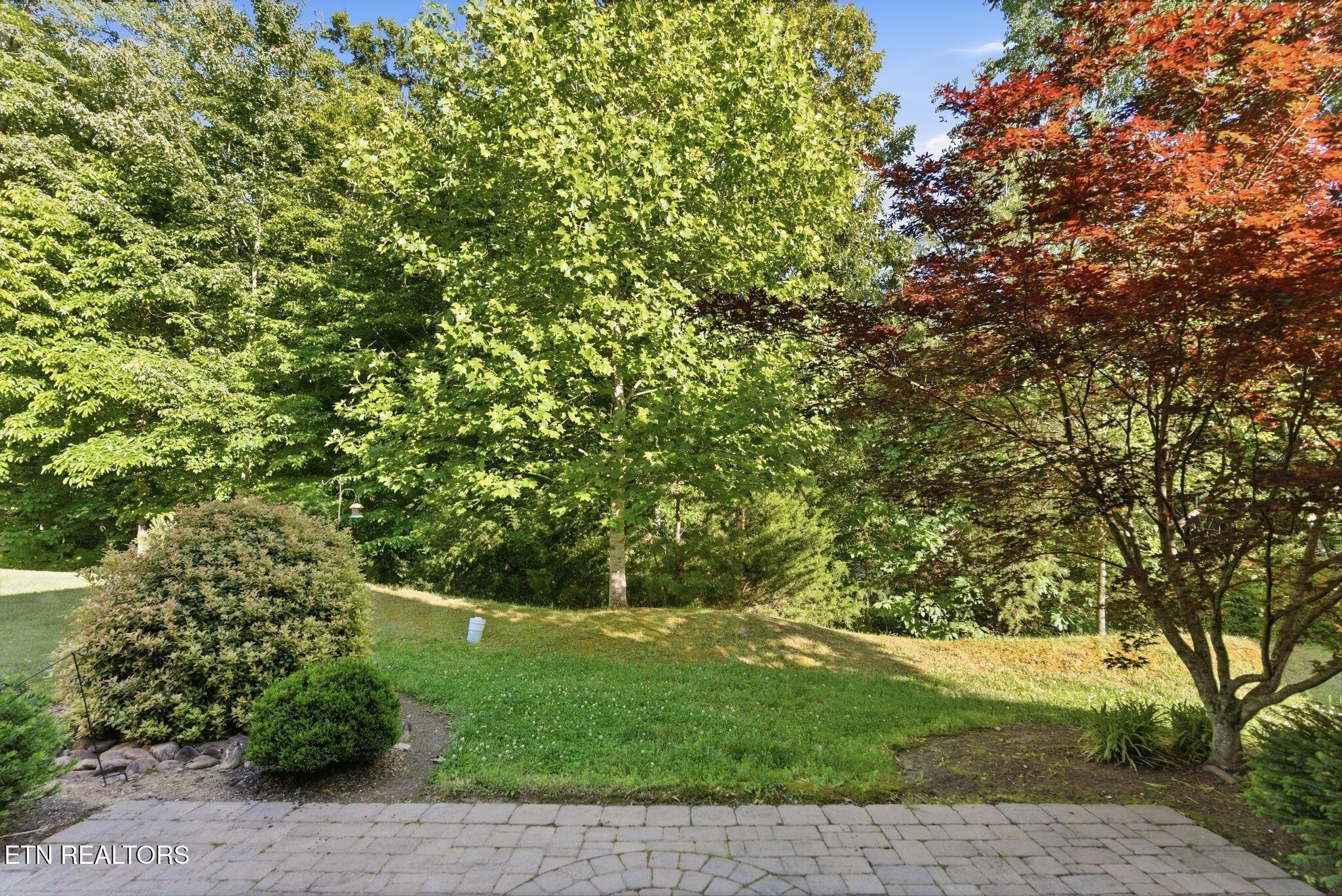 Ann Cove Ln, Powell, TN 37849