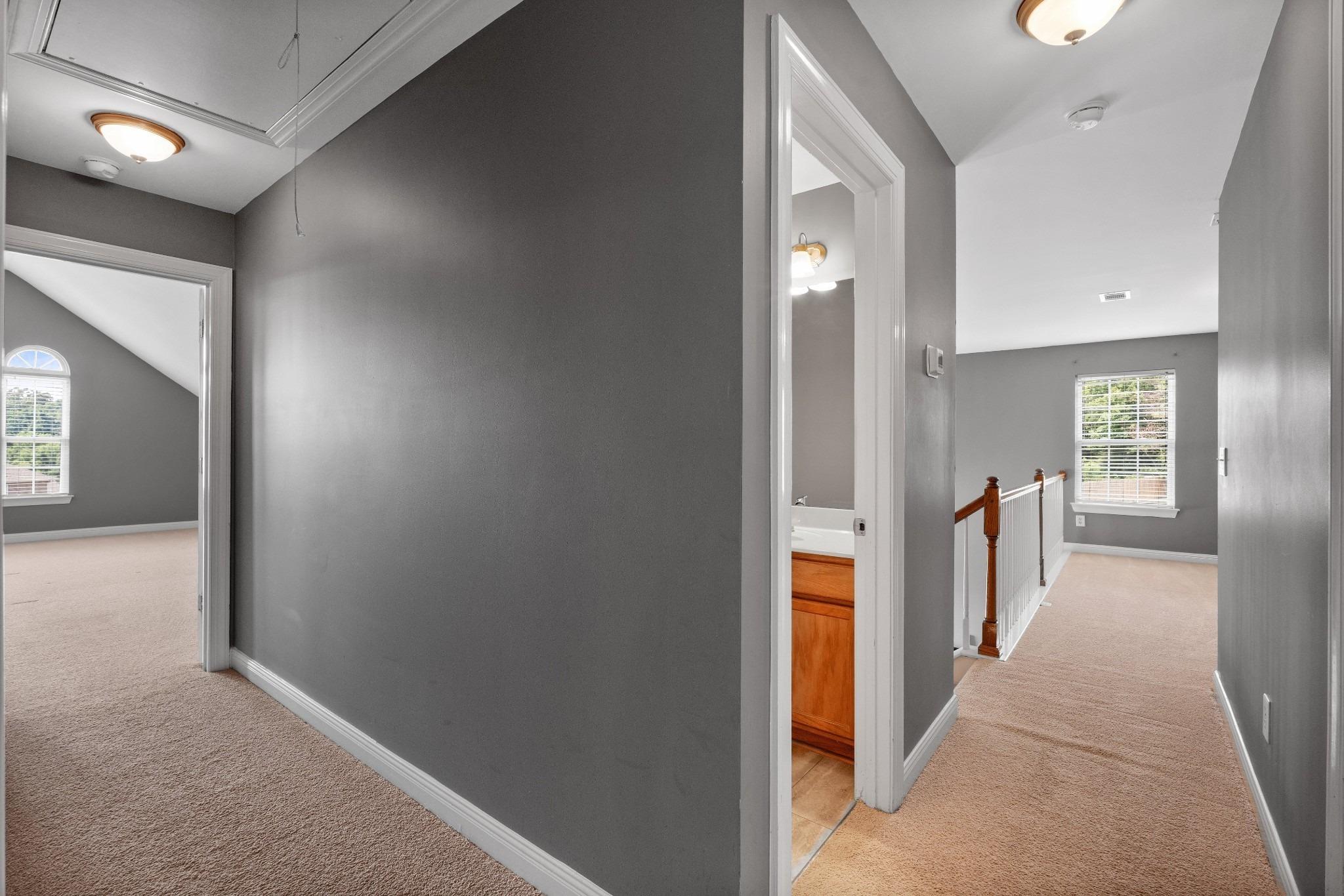 Rachels Meadow Ct, Hermitage, TN 37076