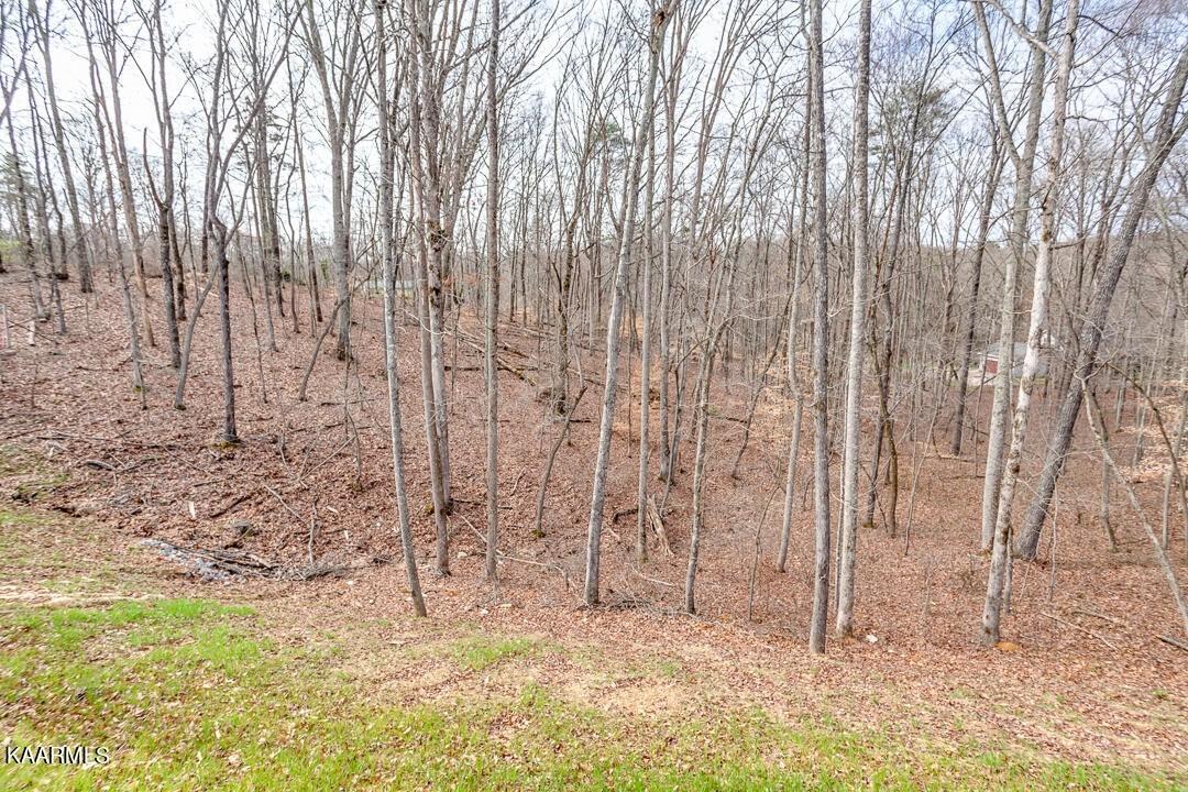 Townsend Park Ln, Powell, TN 37849