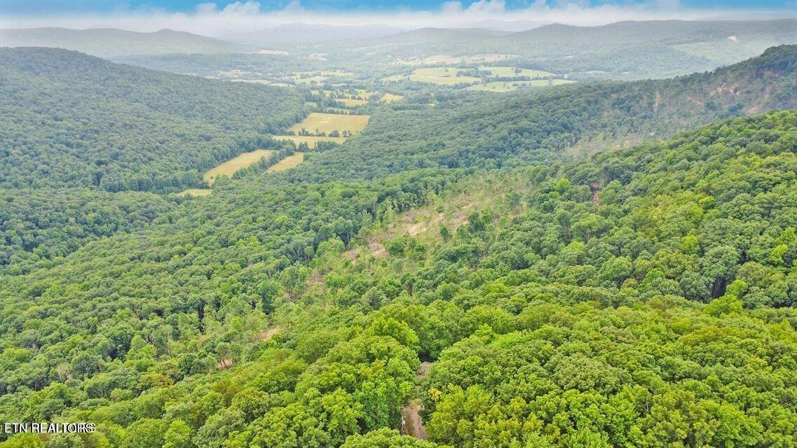 Yellow Cliff Estates Rd, Jamestown, TN 38556