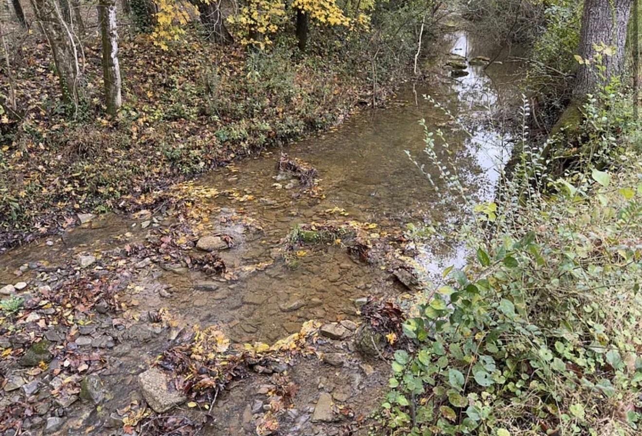 Faulkner Springs Rd, Mcminnville, TN 37110