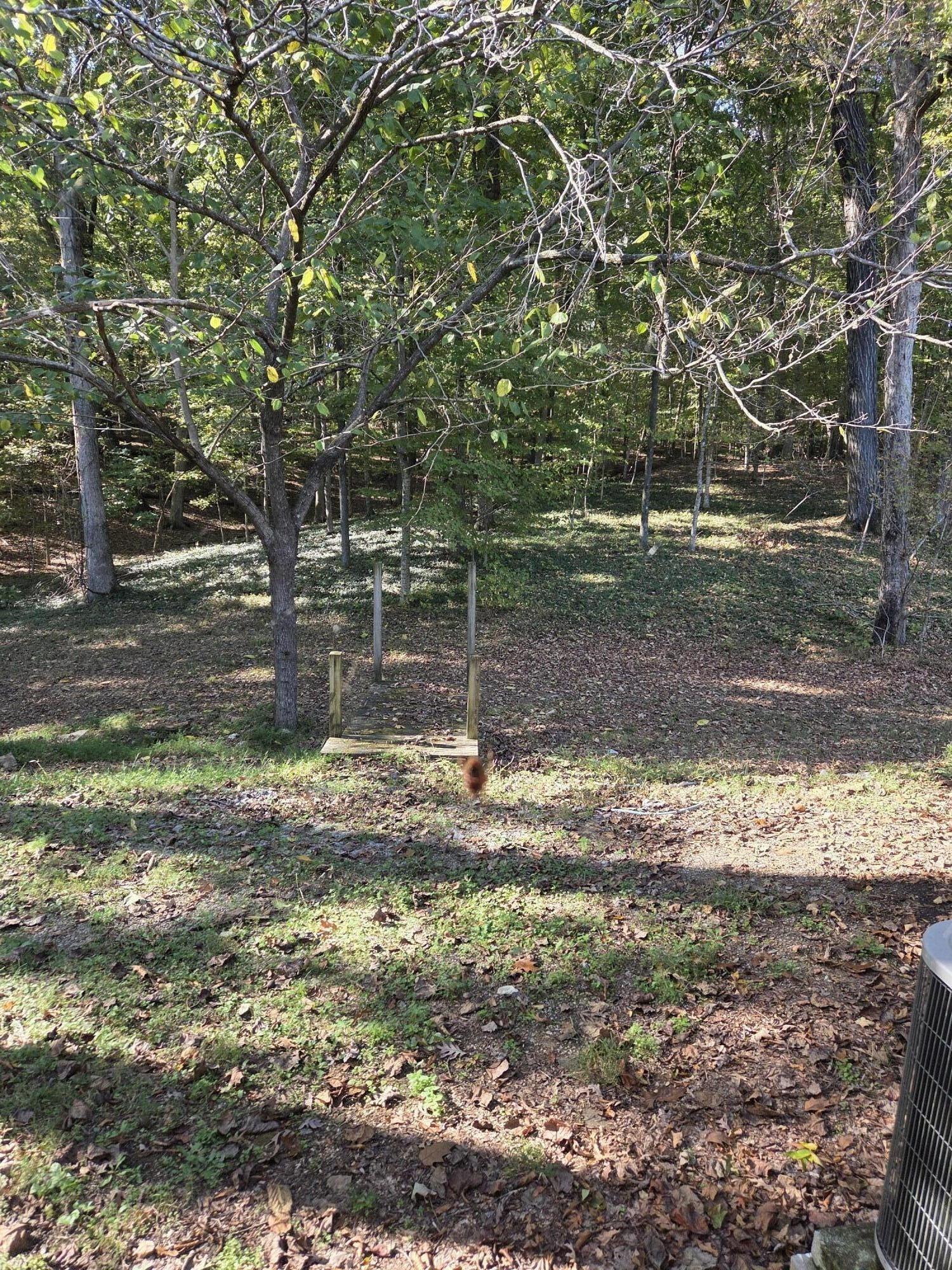 Canary Dr Nw, Cleveland, TN 37312