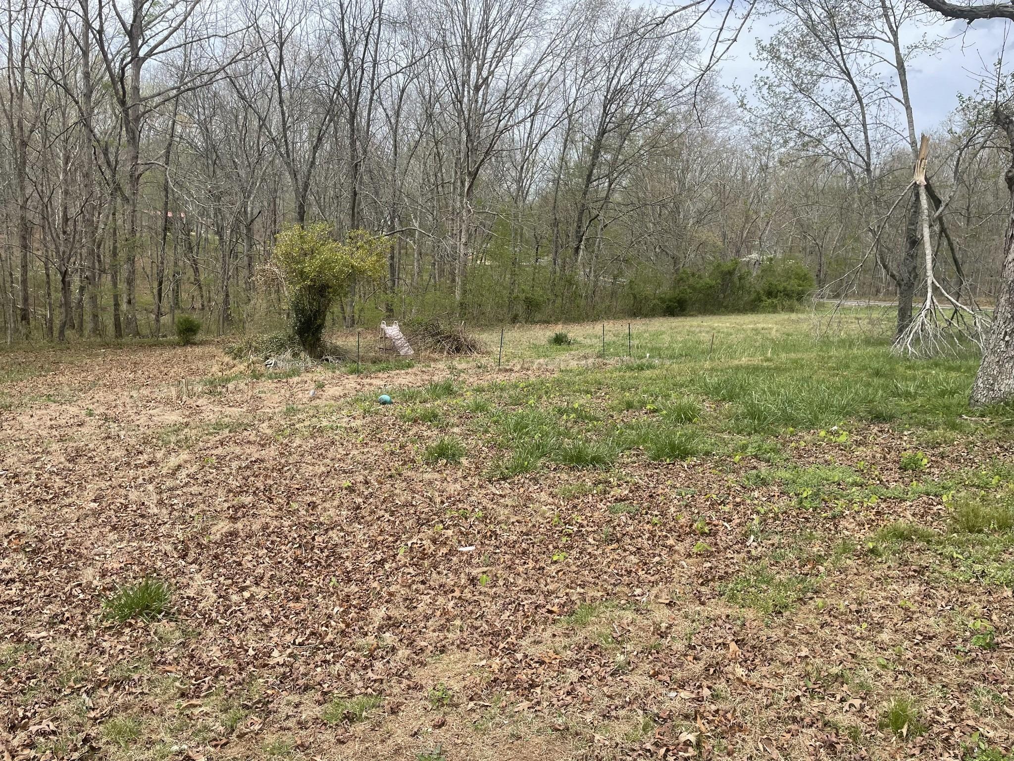 Highway 20, Summertown, TN 38483