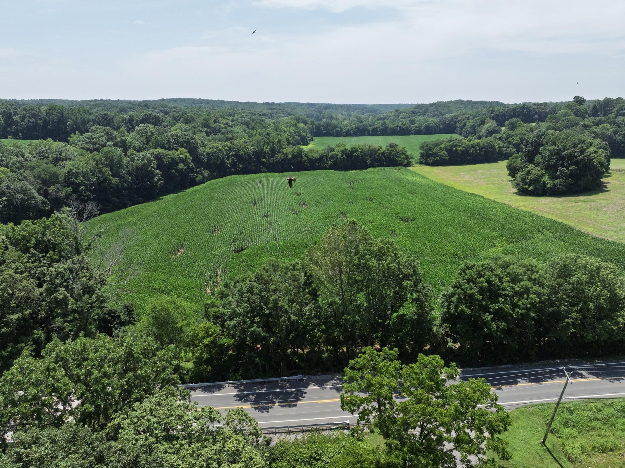 Highway 48, Cumberland Furnace, TN 37051