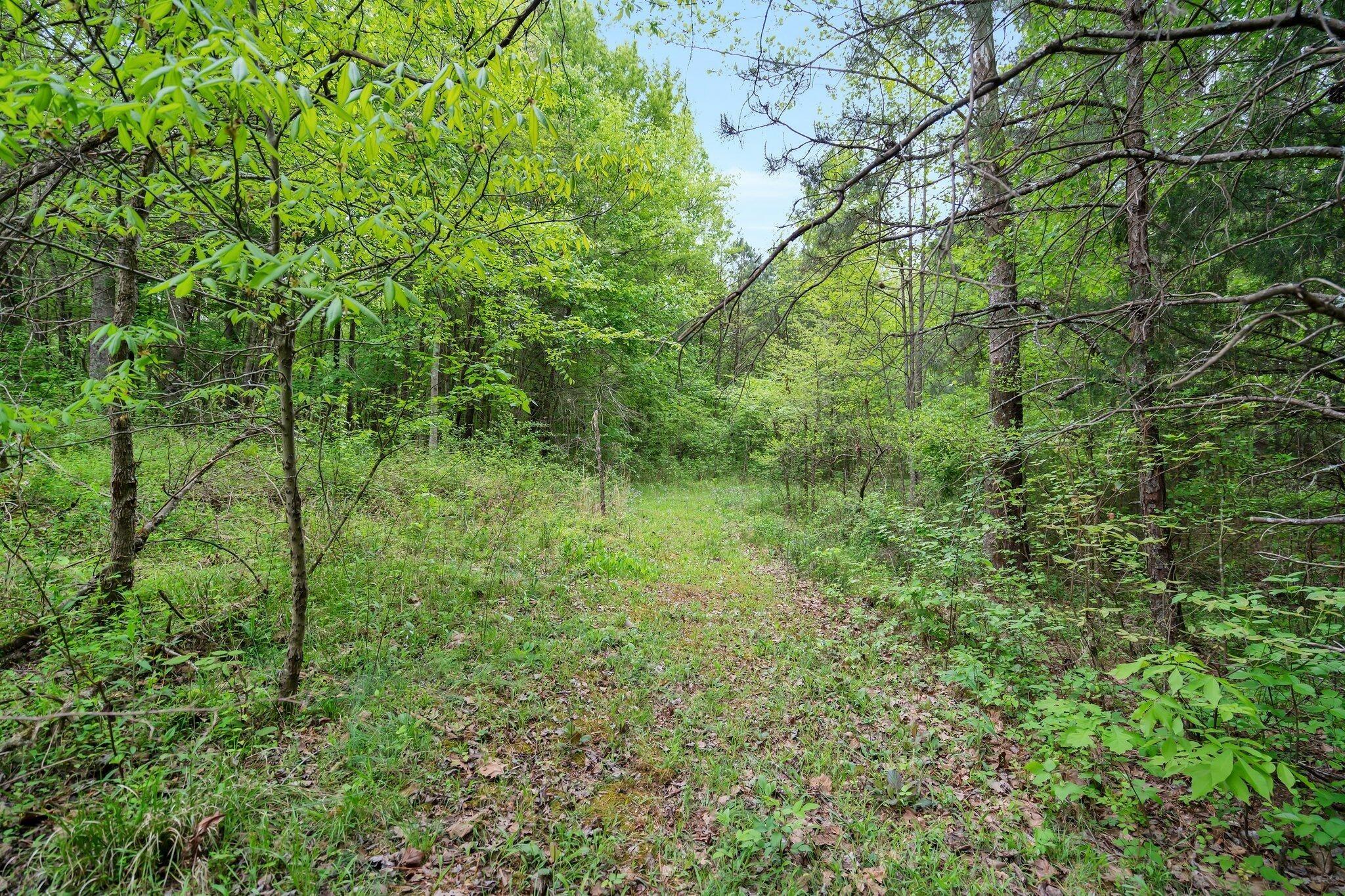 Turner Ln Ne, Cleveland, TN 37323