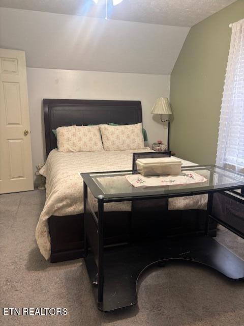 Briley Rd, Spring City, TN 37381