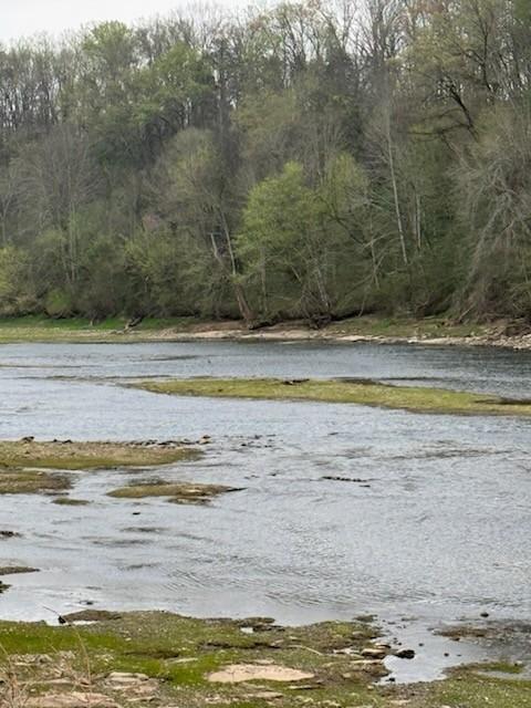 Holston Shores Dr, Rutledge, TN 37861