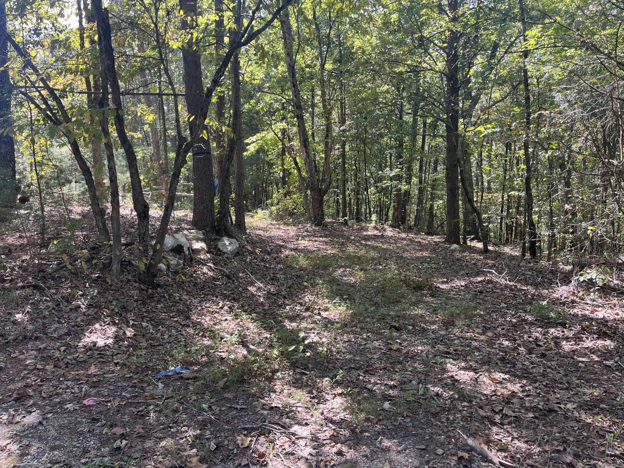Davis Rd, Rocky Face, GA 30740