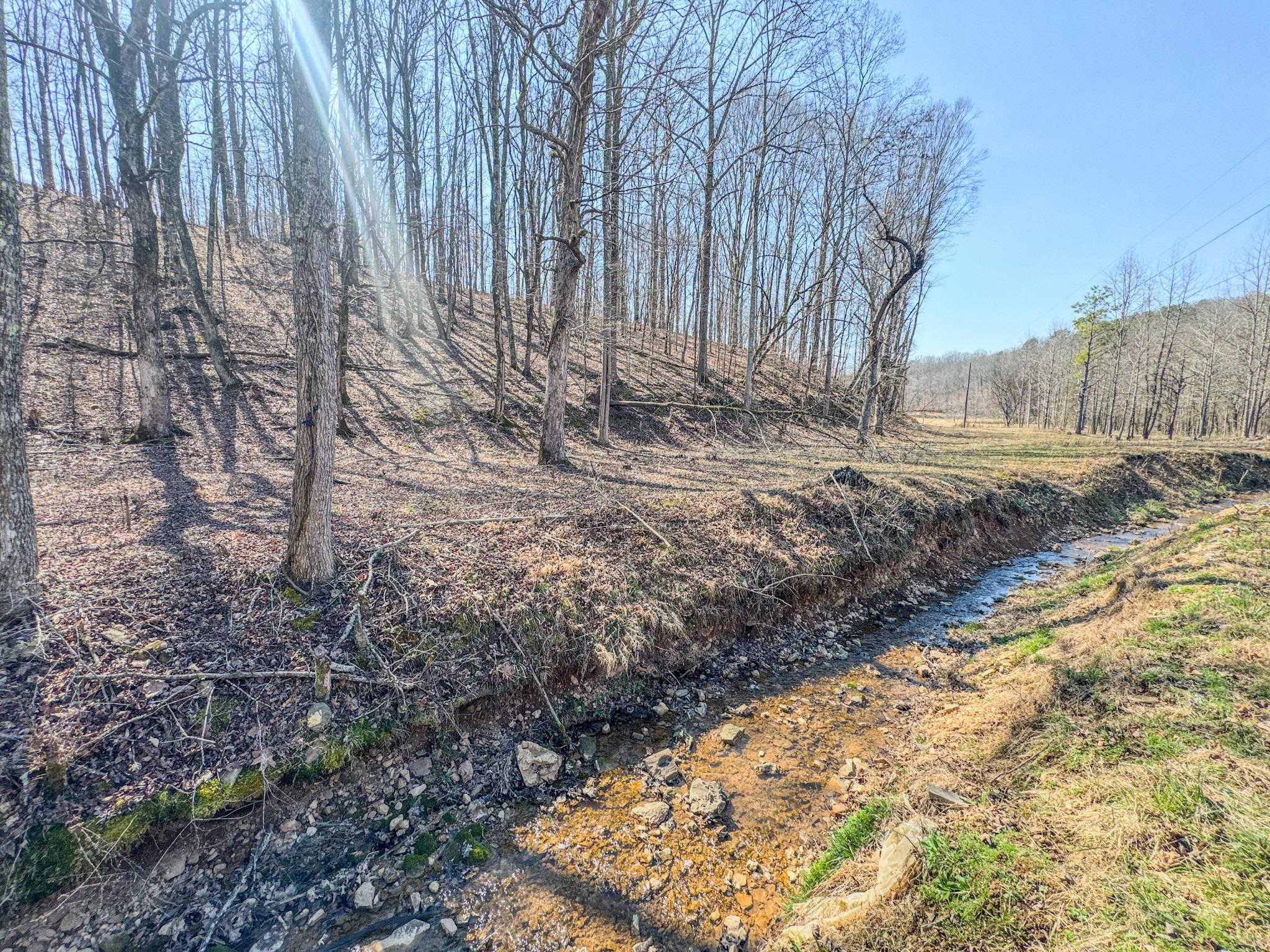 Roanoke Creek Rd, Collinwood, TN 38450