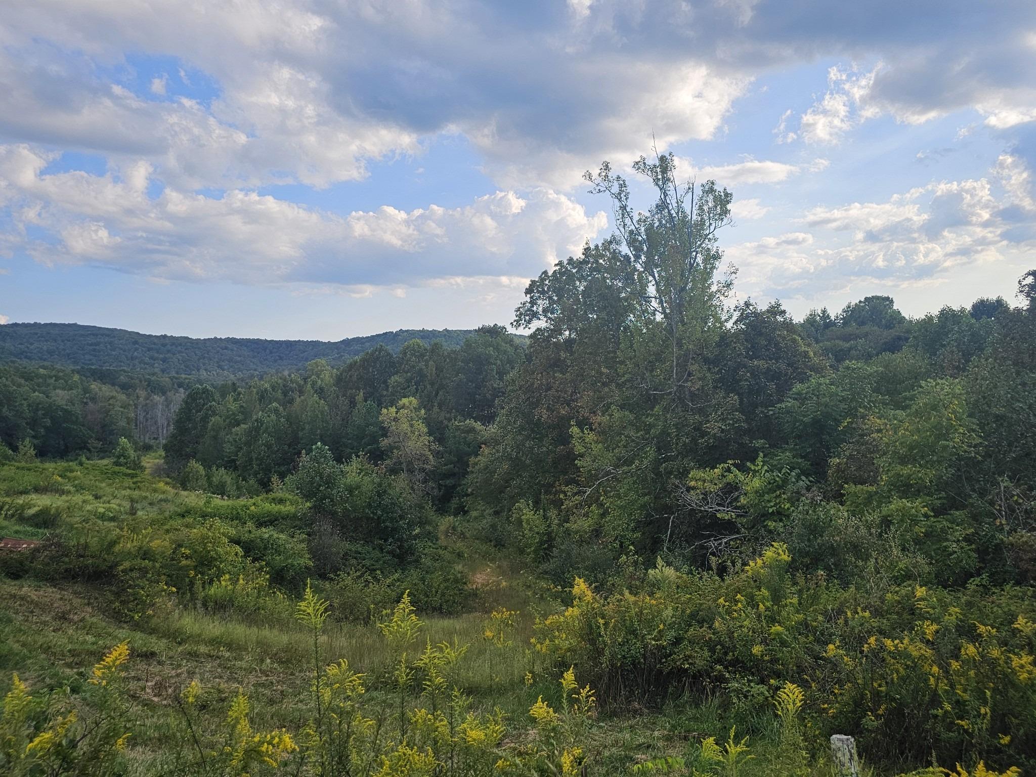 Rock Ave, Palmer, TN 37365