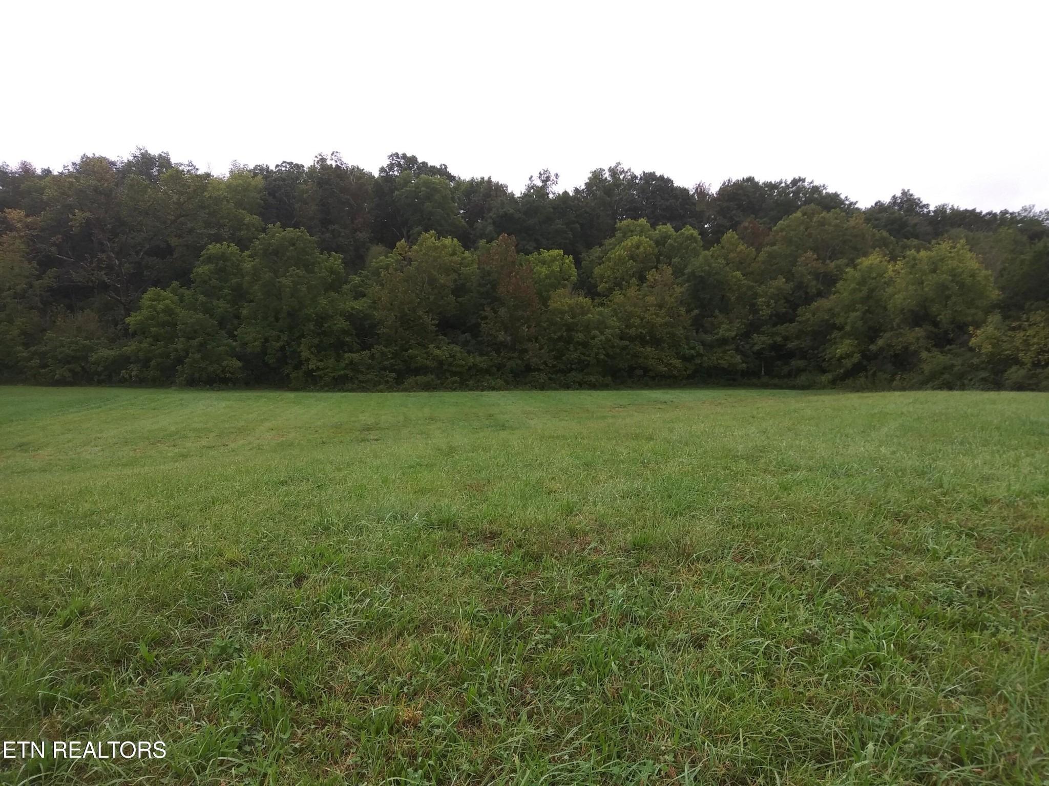 Cherry St, Rutledge, TN 37861