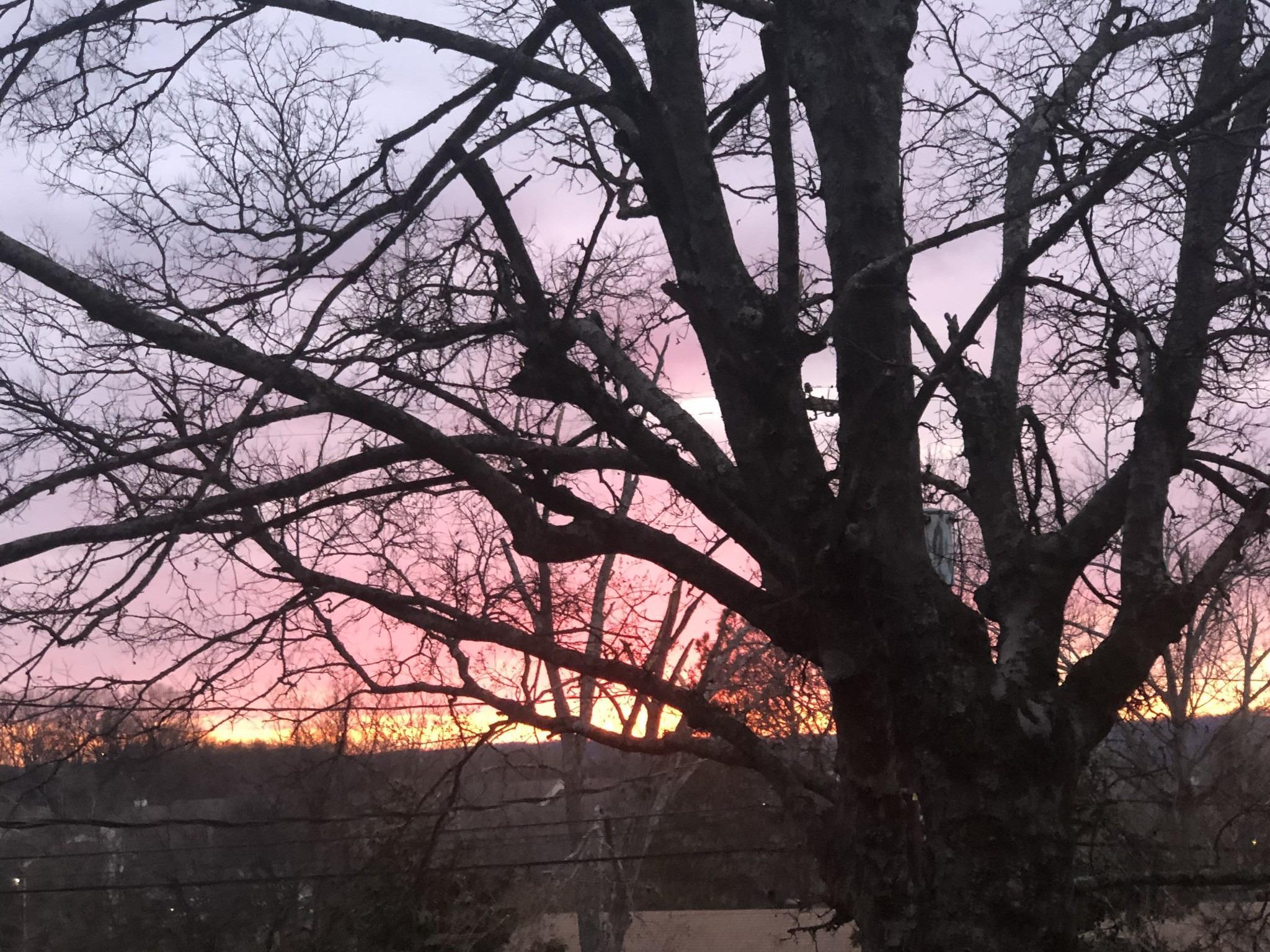 Watts Ter, Nashville, TN 37209