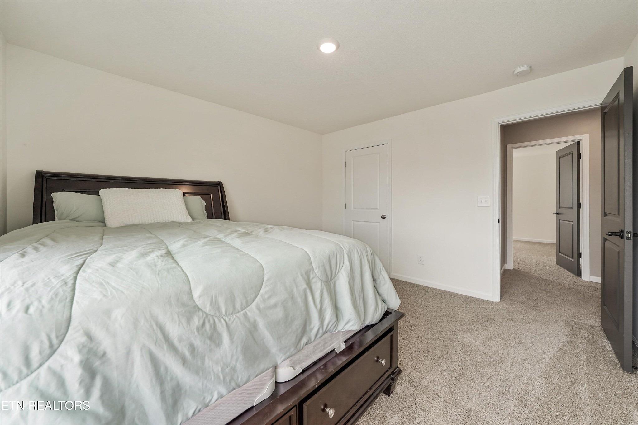 Cottontail St, Corryton, TN 37721