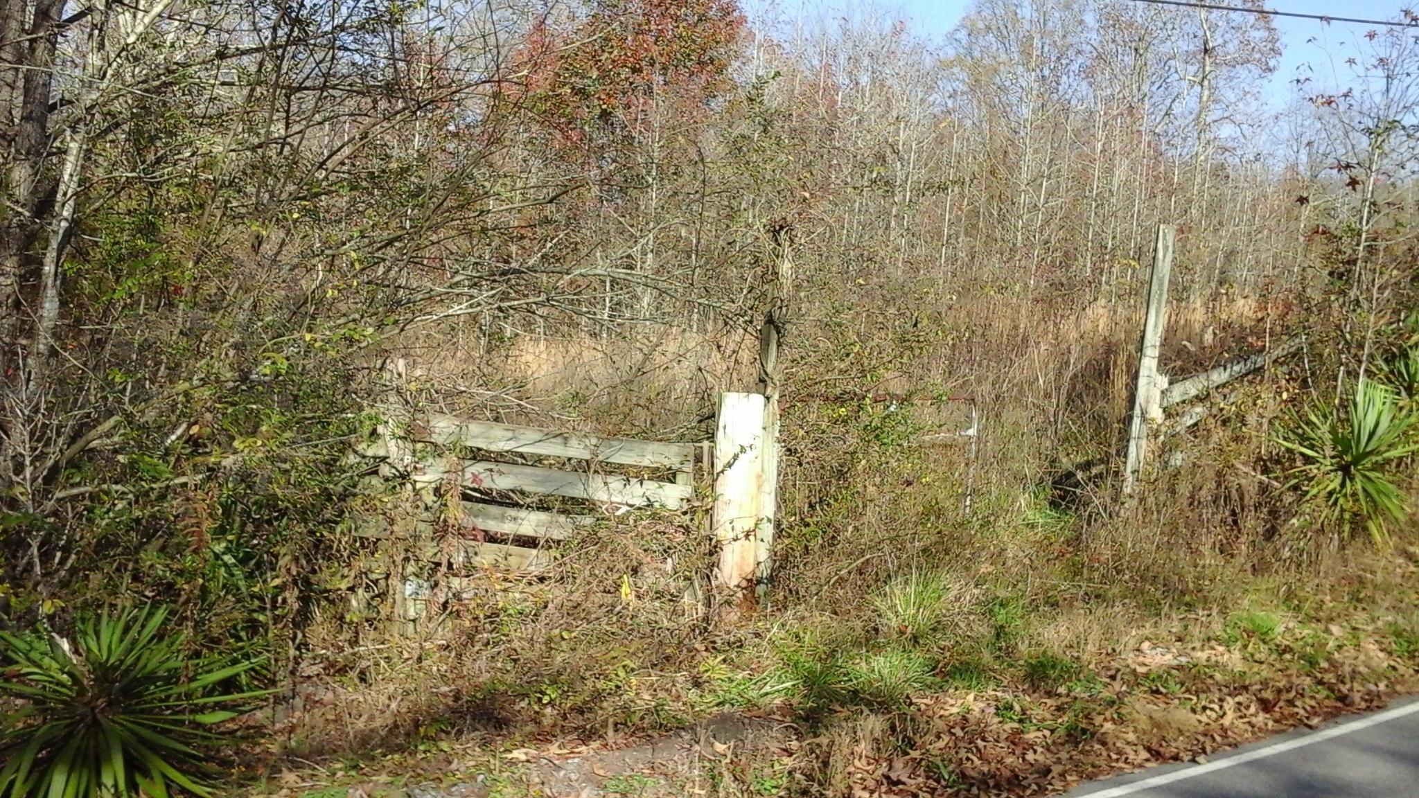 Red Cloud Rd, Ten Mile, TN 37880