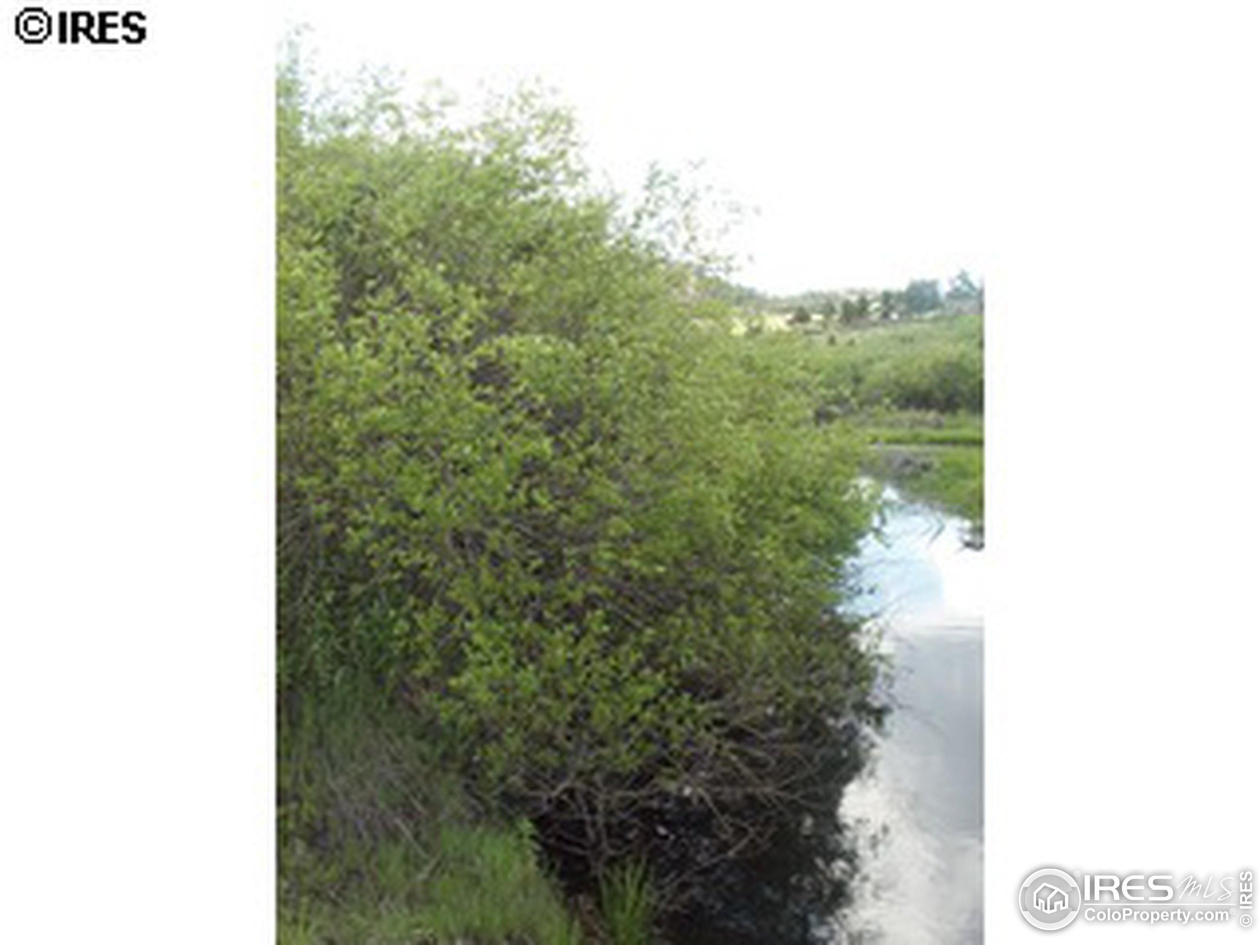 Gordon Ct, Livermore, CO 80536